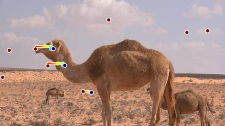 First camel qualitative sample from Figure H.