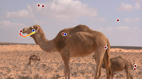 Third camel qualitative sample from Figure H.