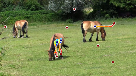 Third horse qualitative sample from Figure H.