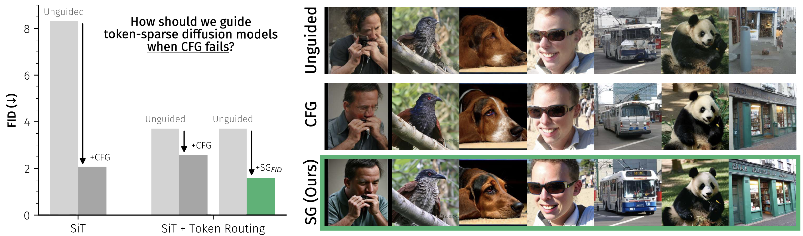 CFG provides limited benefits for token-sparse diffusion models; Sparse Guidance restores strong guidance gains.